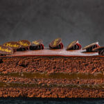 Pataki Cukrászda Érd - Sacher torta - Egész torták